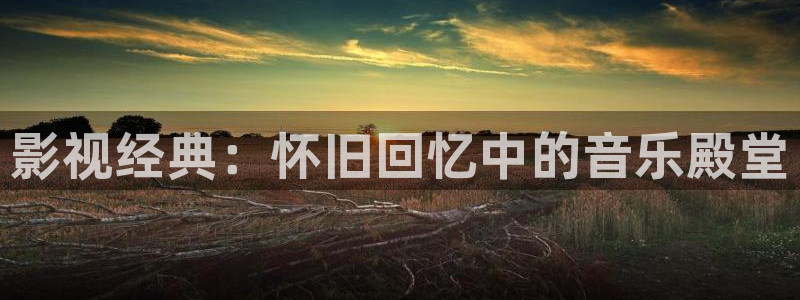 窝窝看电影网
